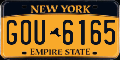 NY license plate GOU6165