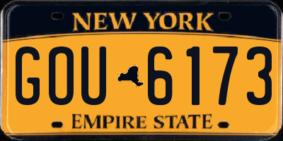 NY license plate GOU6173