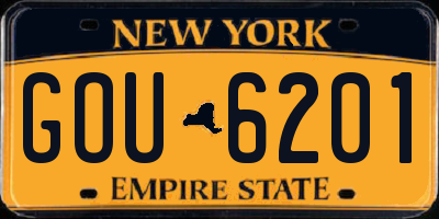NY license plate GOU6201