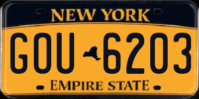 NY license plate GOU6203
