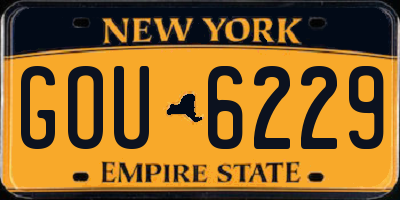 NY license plate GOU6229
