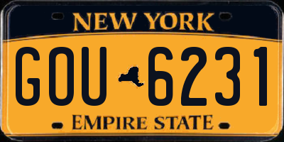 NY license plate GOU6231