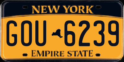 NY license plate GOU6239