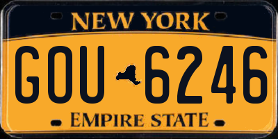 NY license plate GOU6246