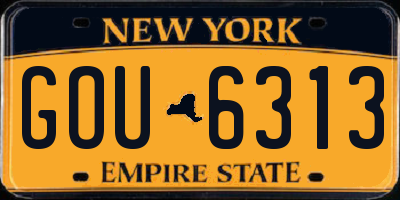 NY license plate GOU6313
