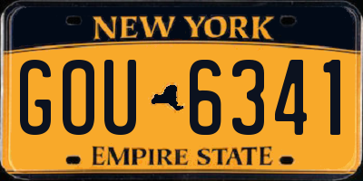 NY license plate GOU6341