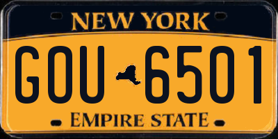 NY license plate GOU6501