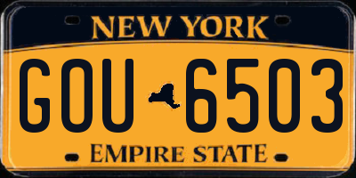 NY license plate GOU6503