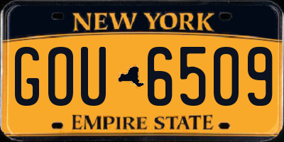 NY license plate GOU6509