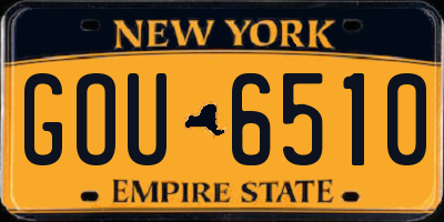 NY license plate GOU6510
