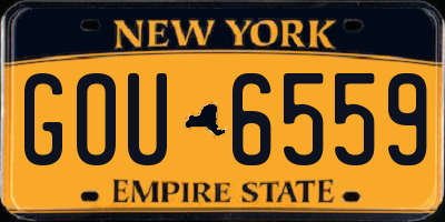 NY license plate GOU6559