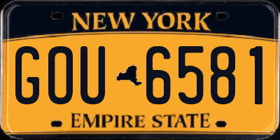 NY license plate GOU6581