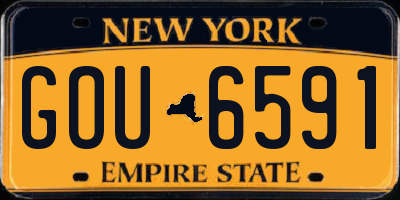 NY license plate GOU6591