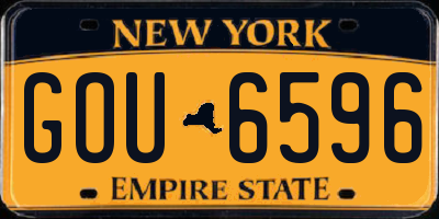 NY license plate GOU6596