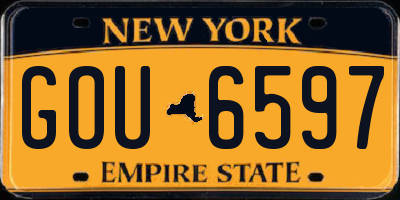 NY license plate GOU6597