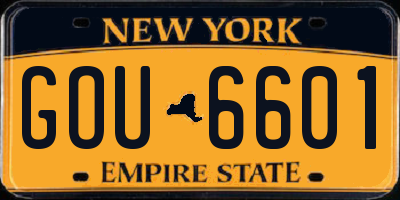 NY license plate GOU6601