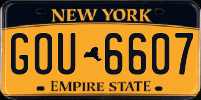 NY license plate GOU6607