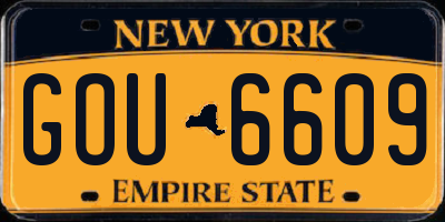 NY license plate GOU6609