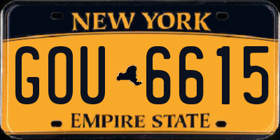 NY license plate GOU6615