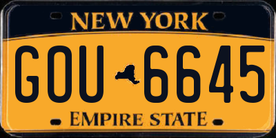 NY license plate GOU6645