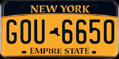 NY license plate GOU6650