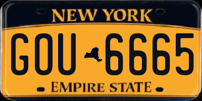 NY license plate GOU6665