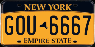NY license plate GOU6667