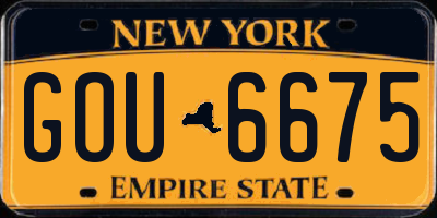 NY license plate GOU6675