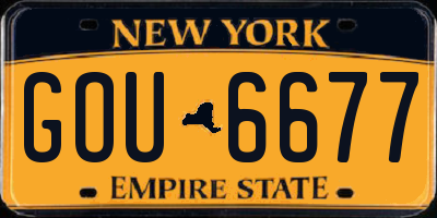 NY license plate GOU6677