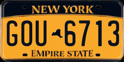 NY license plate GOU6713