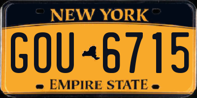 NY license plate GOU6715