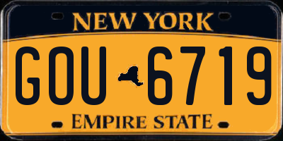 NY license plate GOU6719