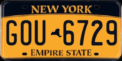 NY license plate GOU6729