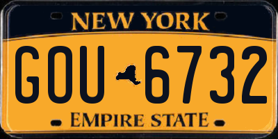 NY license plate GOU6732