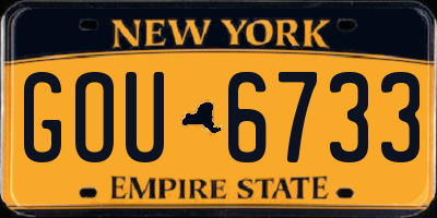 NY license plate GOU6733