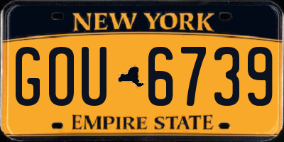NY license plate GOU6739
