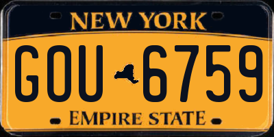 NY license plate GOU6759