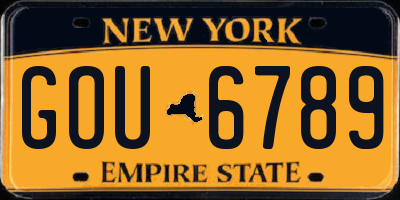 NY license plate GOU6789