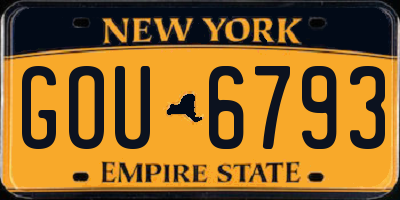 NY license plate GOU6793