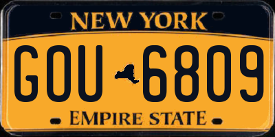 NY license plate GOU6809