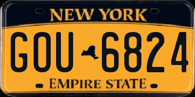 NY license plate GOU6824