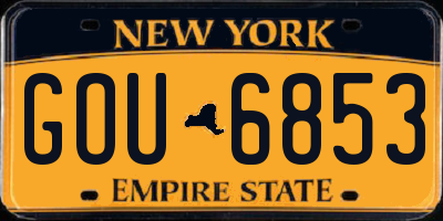 NY license plate GOU6853