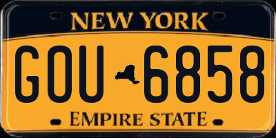 NY license plate GOU6858