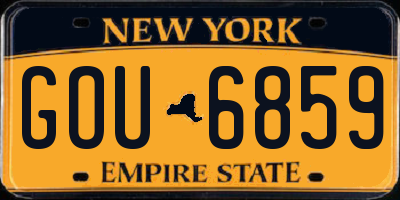 NY license plate GOU6859