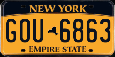 NY license plate GOU6863