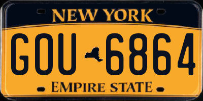 NY license plate GOU6864