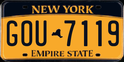 NY license plate GOU7119