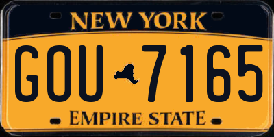 NY license plate GOU7165
