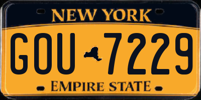 NY license plate GOU7229