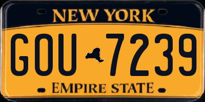NY license plate GOU7239